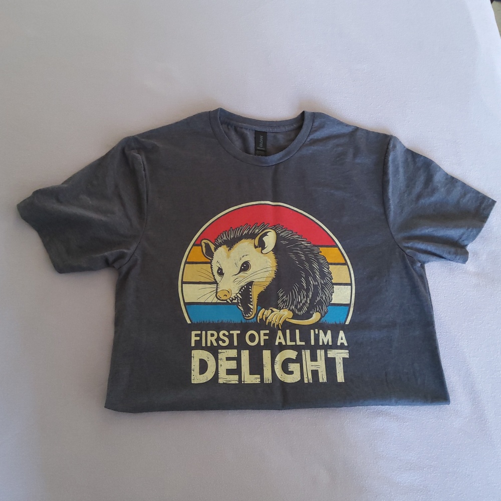 First Of All I'm A Delight tee, NWOT